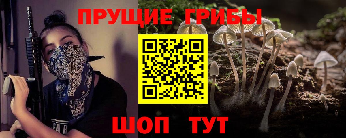 Галлюциногенные грибы Psilocybine cubensis  что такое наркотик  Мценск  Вход с VPN 